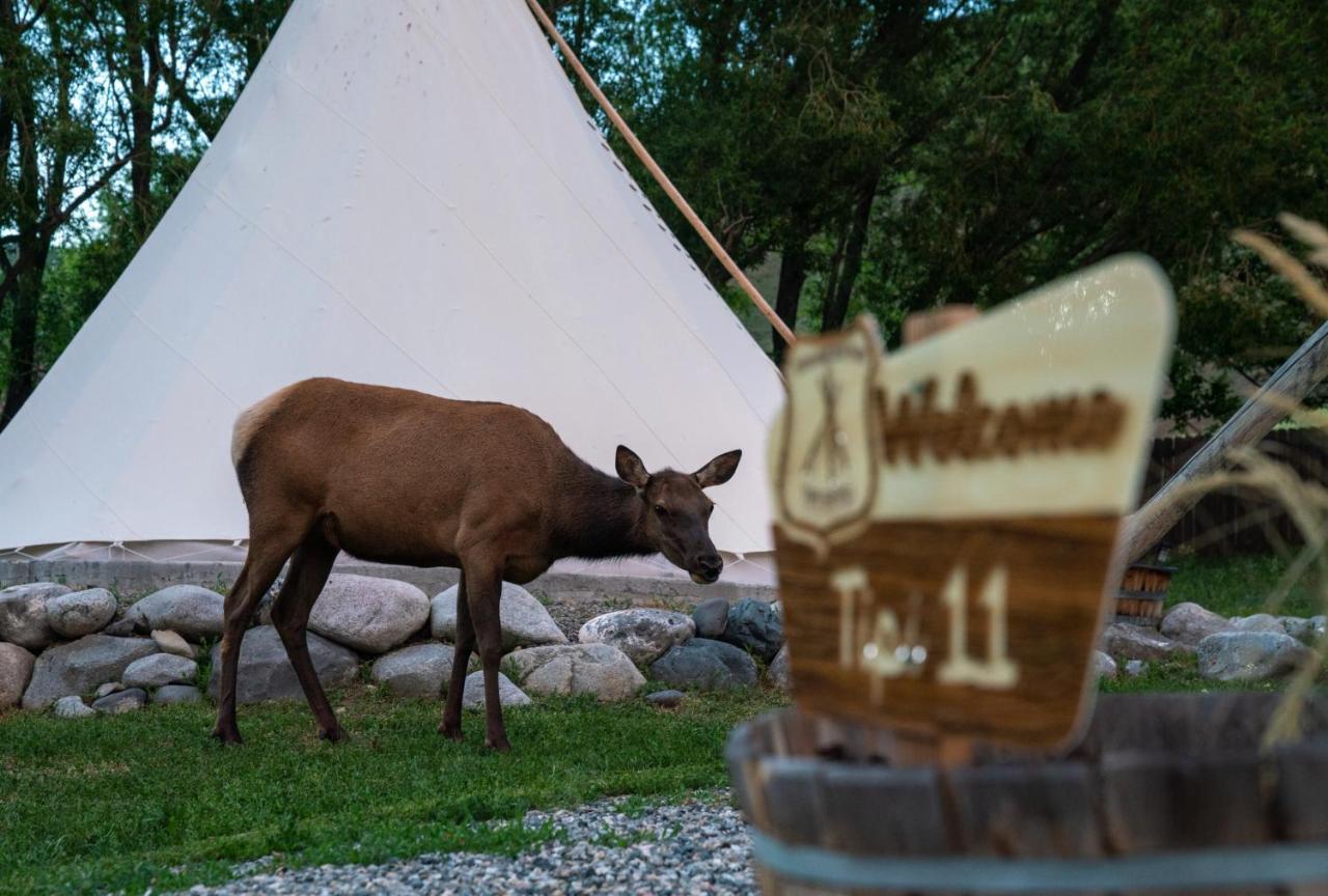 Dreamcatcher Tipi Hotel Гардинер Экстерьер фото